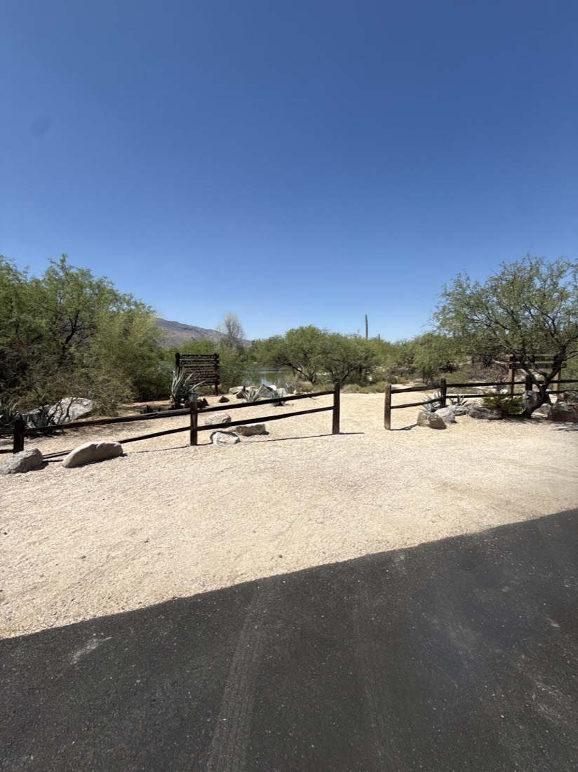 La Cebadilla community lakefront common area with split-rail fencing and desert plantings