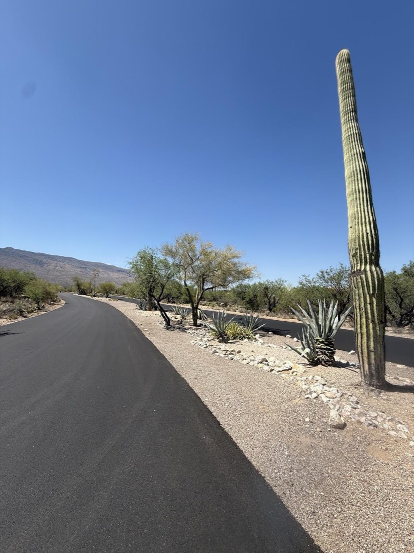 Maintained streetscape median with rock and agave at La Cebadilla in Tucson
