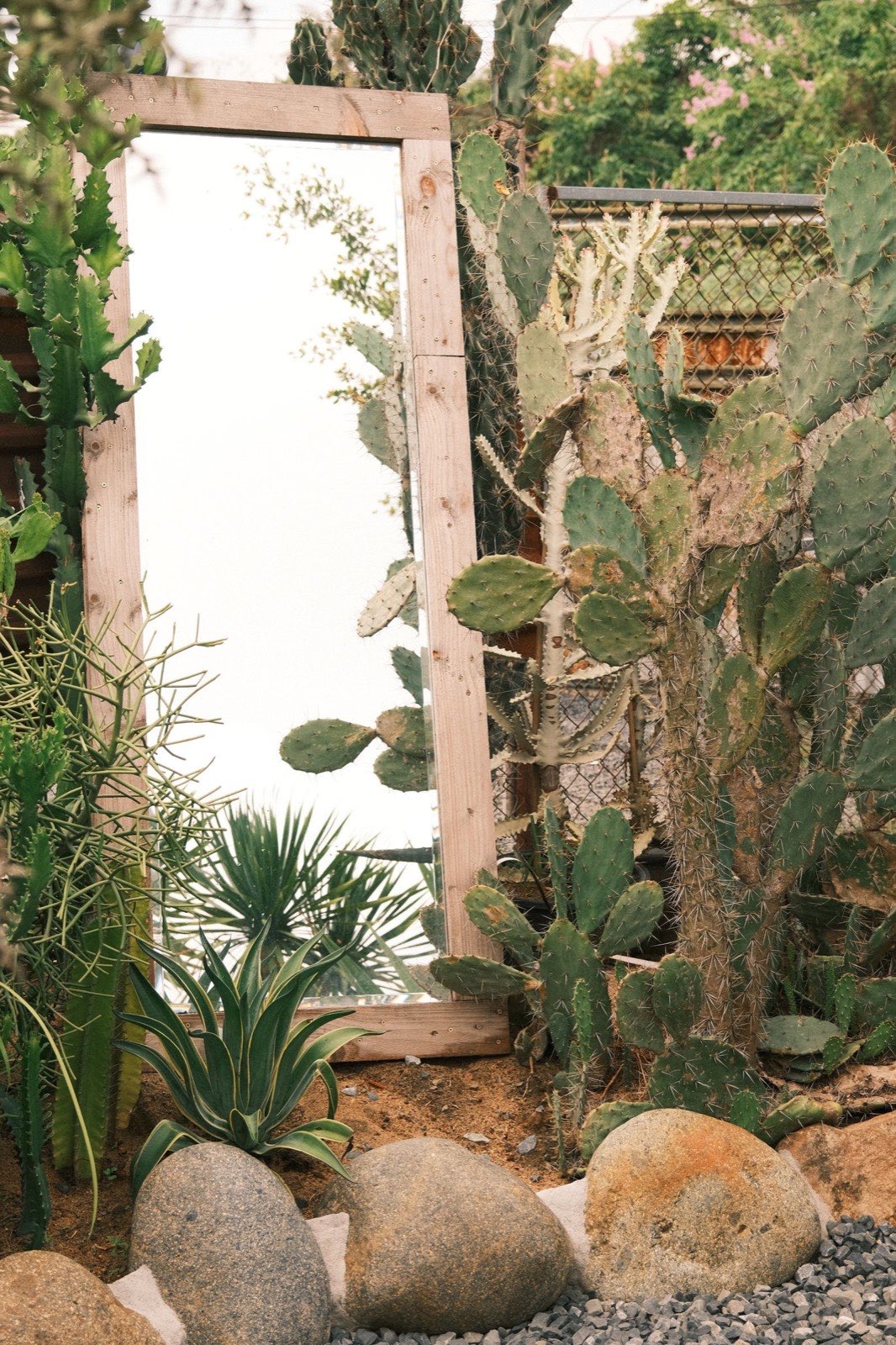 Maintained commercial desert landscaping at a Tucson property